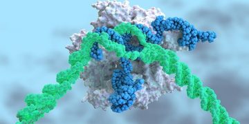 کرسپر ٹیکنالوجی ناممکن کو ممکن بنانا