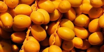 کھجور کے فائدے