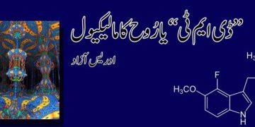 ڈی ایم ٹی یا رُوح کا مالیکیول کیا ہے