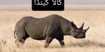 خطرے سے دوچار انواع کے بارے جانئے