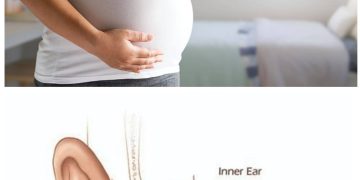 سماعت کی حس کا آغاز ماں کی کوکھ سے