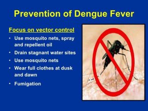 Pakistan Aur Dengue Virus