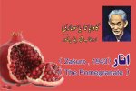 Qaisar Nazir Khawar - The Pomegranate