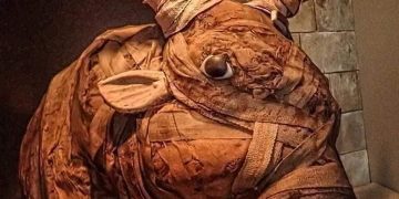 قدیم مصری جانوروں کو کیسے حنوط کرنے کرتے تھے؟