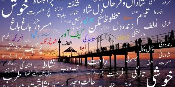 جوائے کا مراقبہ