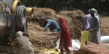 پنجاب میں چلنے والی کسان تحریک کی مختصر تاریخ