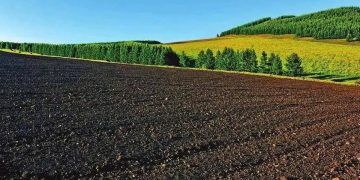 دنیا کی فوڈ باسکٹ سیاہ مٹی کا تحفظ