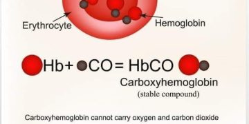 خون کے سرخ ذرات اور کاربن مونو آکسائیڈ