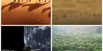 پہنچی وہیں پہ خاک