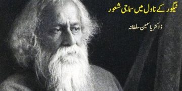 ٹیگور کے ناول میں سماجی شعور