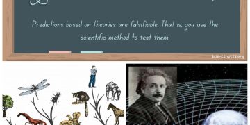 سائنسی تھیوری کیا ہوتی ہے؟
