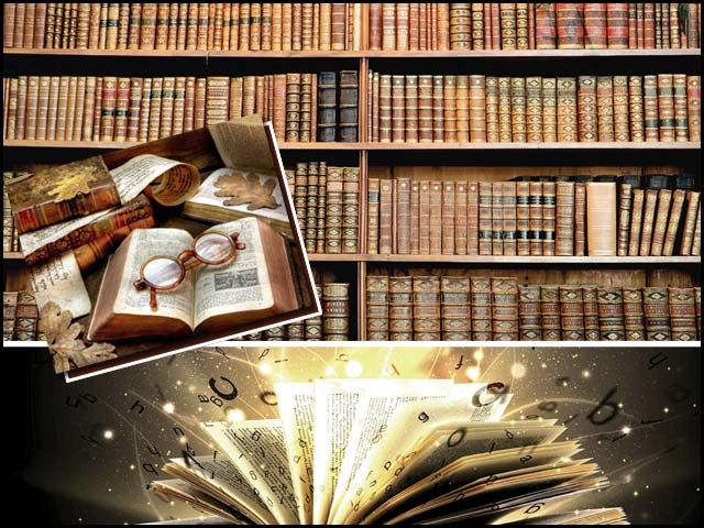 آفاقیت اور زبان