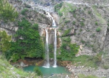 سجی کوٹ، واہیات کمپنی اور خٹکم ڈونٹ گو چیزنگ واٹر فالز