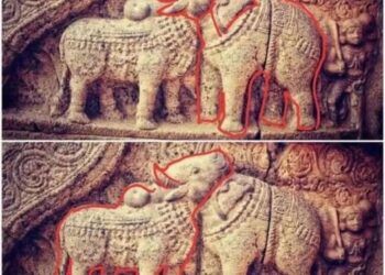 دنیا کا سب سے قدیم بصری دھوکا Optical Illusion